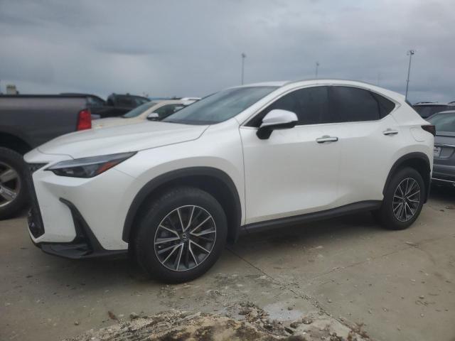 lexus nx 350h ba 2024 jtjgkcezxr2035323