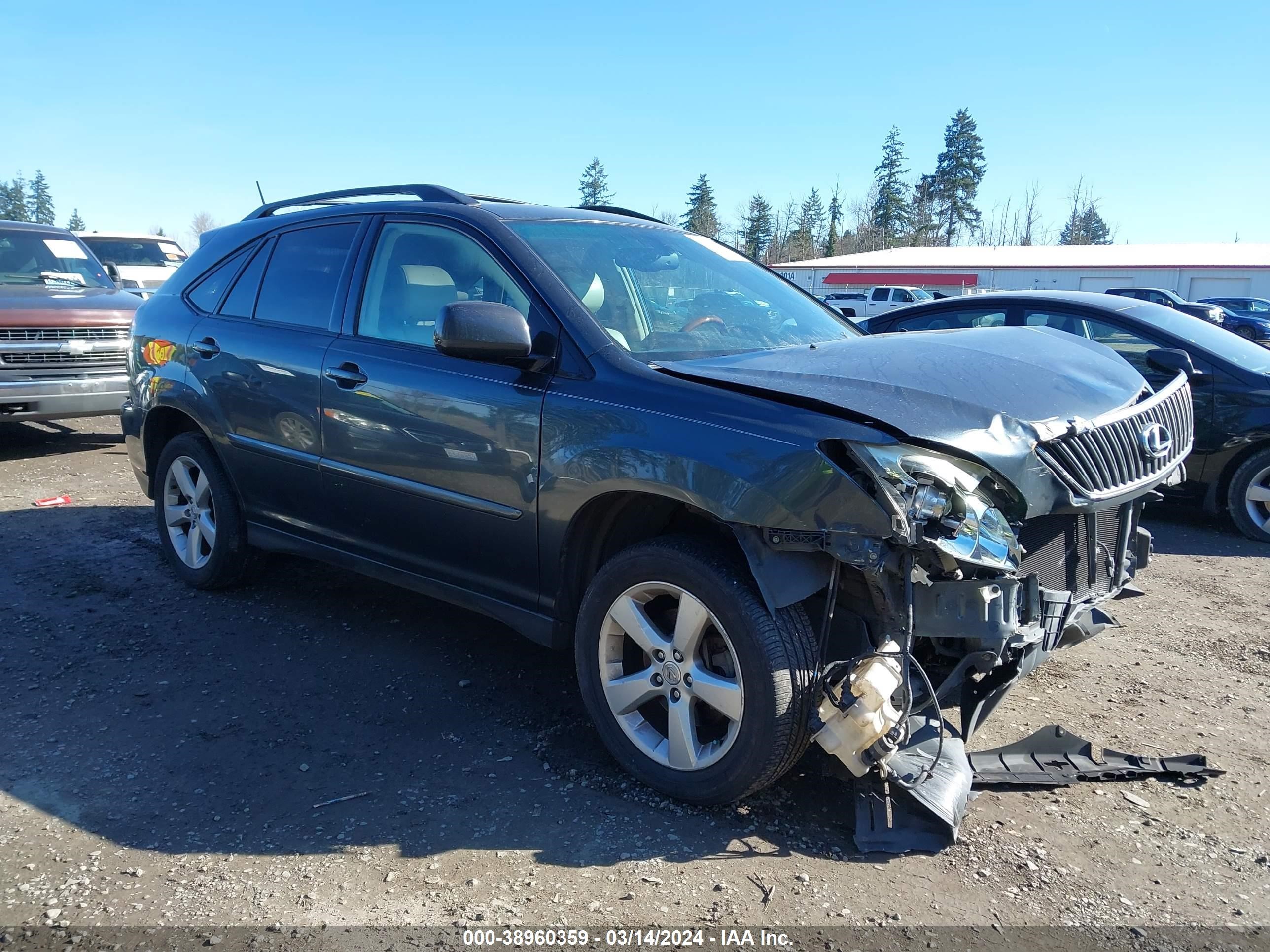 lexus rx 2006 jtjha31u860103918