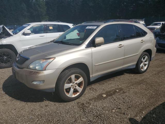 lexus rx 330 2004 jtjha31ux40057294