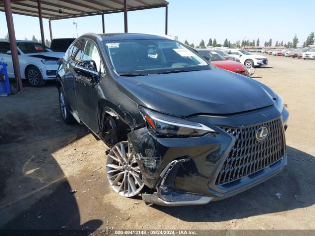 lexus nx 2024 jtjhgcez7r5008536