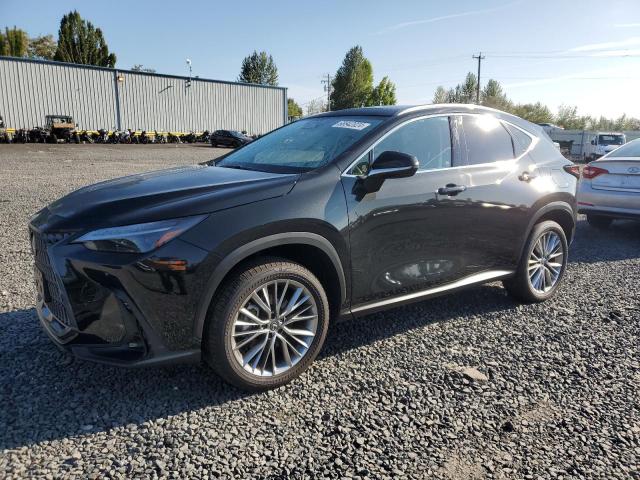 lexus nx 350 lux 2024 jtjhgcez7r5008942