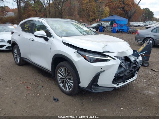 lexus nx 2024 jtjhgcezxr5010149