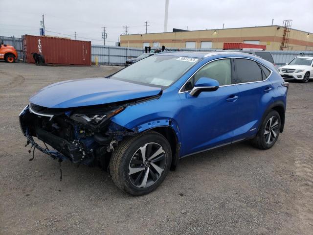 lexus nx 300h lu 2020 jtjhjrdz2l2141302