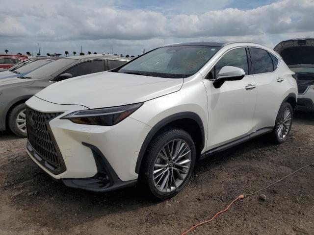 lexus nx 350h 2022 jtjhkcez1n5002627