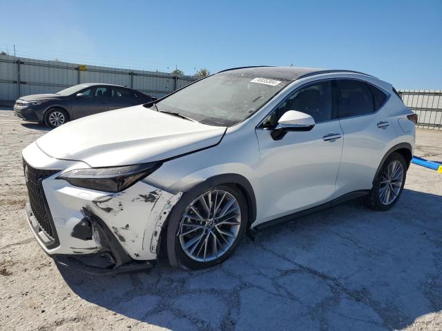 lexus nx 350h 2023 jtjhkcez7p2013703