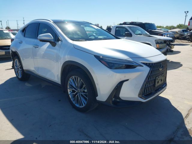 lexus nx 2022 jtjhkcezxn5004487