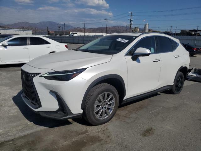 lexus nx 450h lu 2024 jtjhkcfz5r2040366