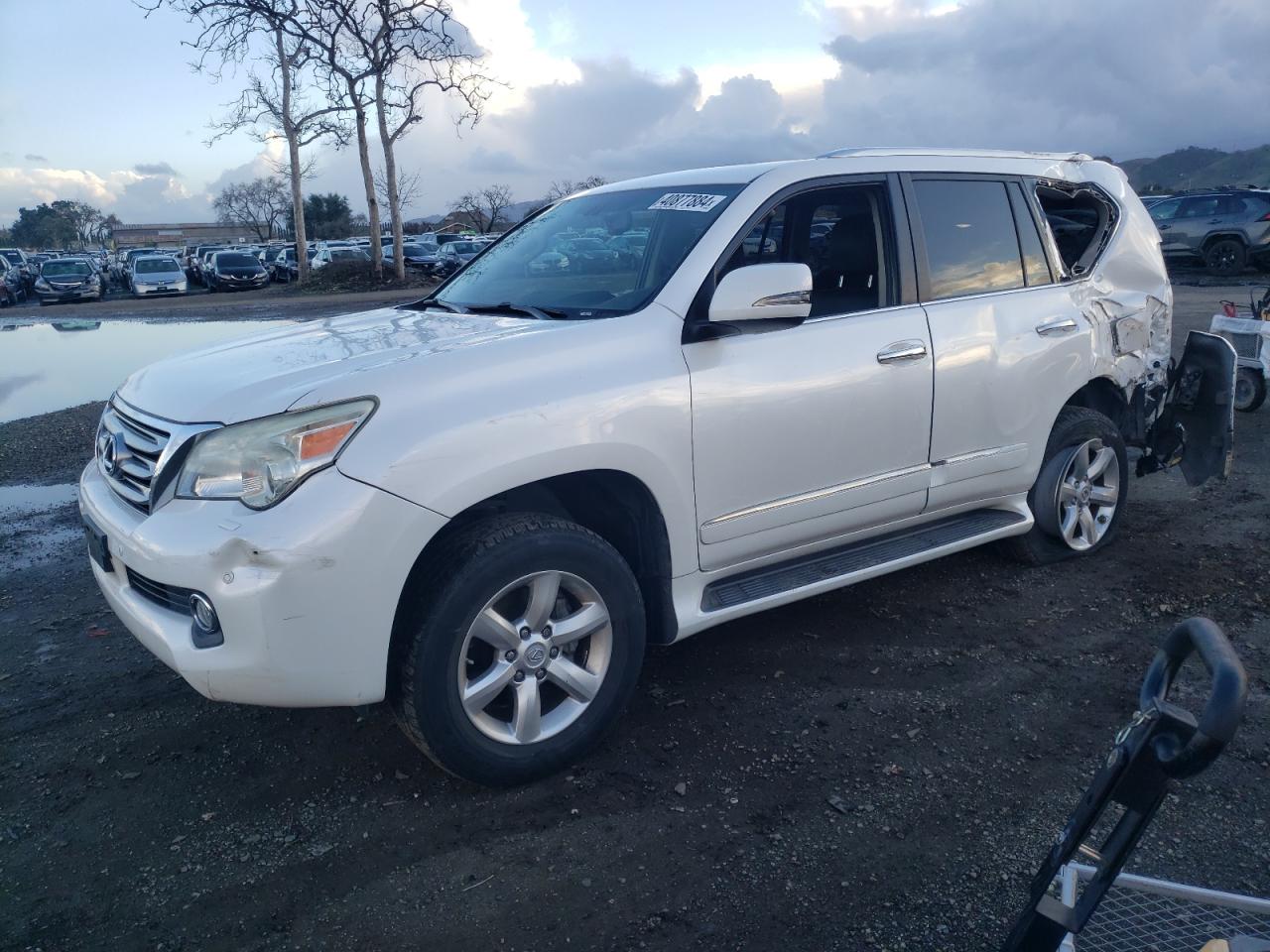 lexus gx 2011 jtjjm7fx6b5018026