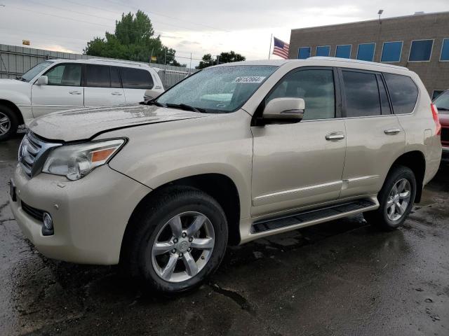 lexus gx 2011 jtjjm7fx6b5027924