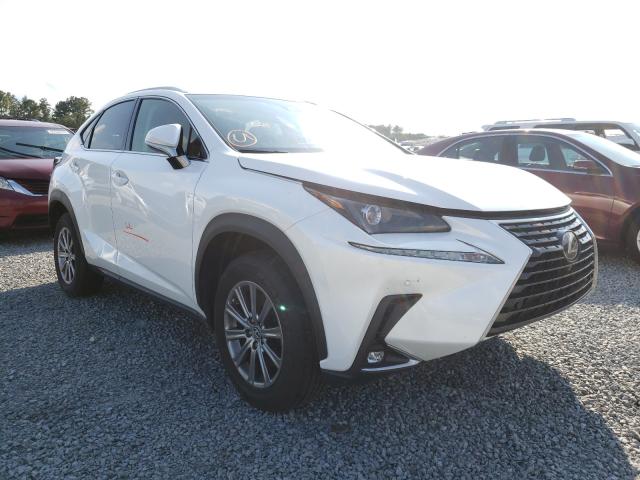 lexus  2019 jtjyarbz0k2132390