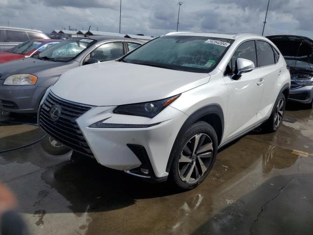 lexus nx 300 bas 2019 jtjyarbz3k2130732