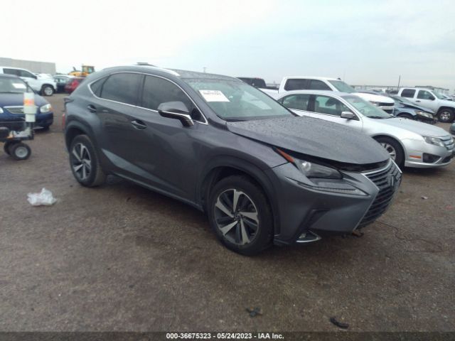 lexus nx 2019 jtjyarbz4k2134675