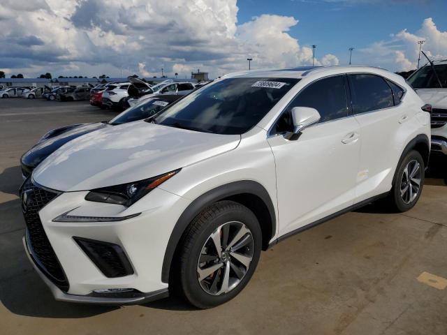 lexus nx 300 bas 2019 jtjyarbz8k2147090