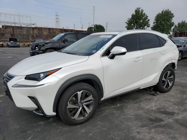 lexus nx 300 bas 2019 jtjyarbz9k2132002