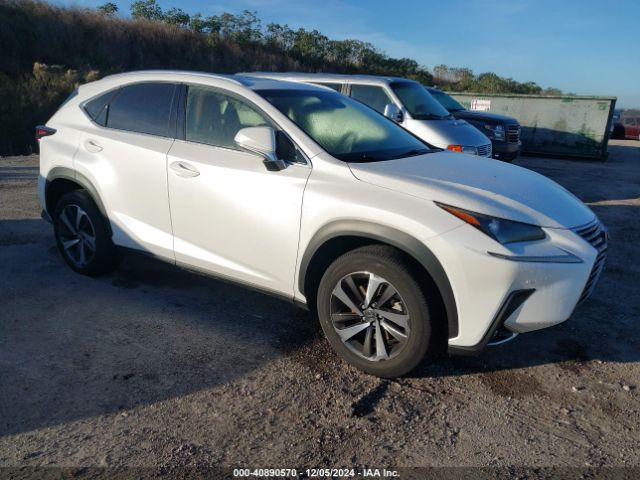 lexus nx 2019 jtjyarbz9k2141881