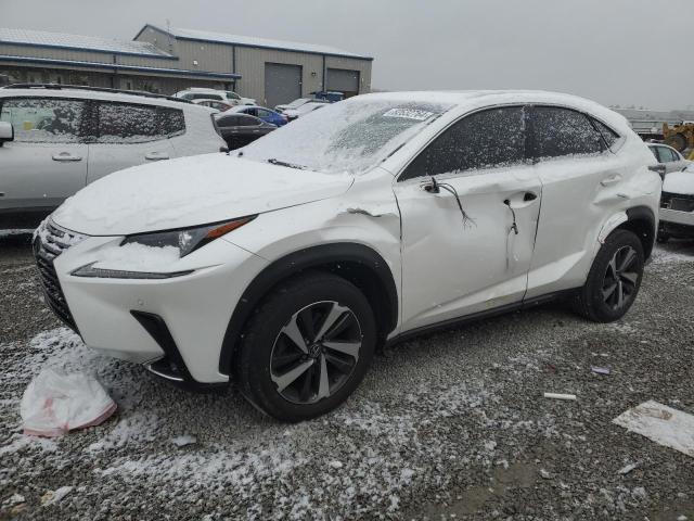 lexus nx 300 bas 2019 jtjyarbz9k2143341