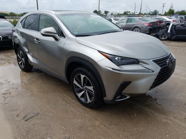 lexus nx 300 bas 2019 jtjyarbz9k2145722