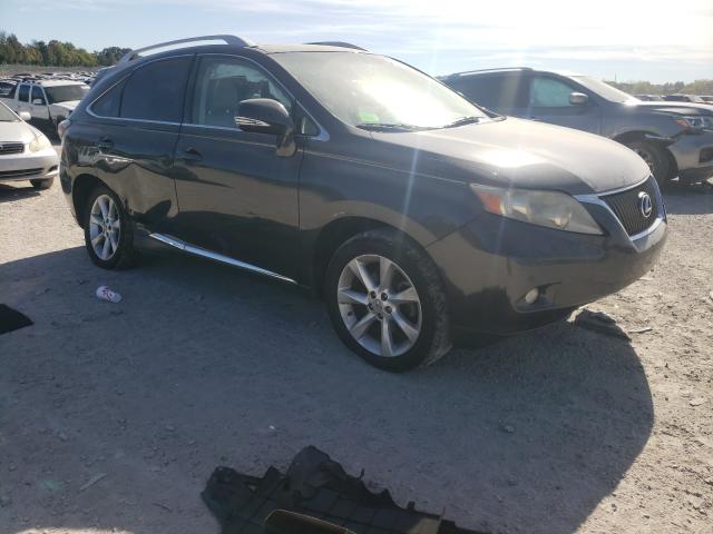 lexus rx 350 2010 jtjzk1ba4a2000535