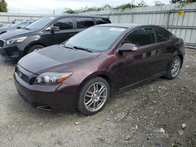 toyota scion tc 2009 jtkde167690288268