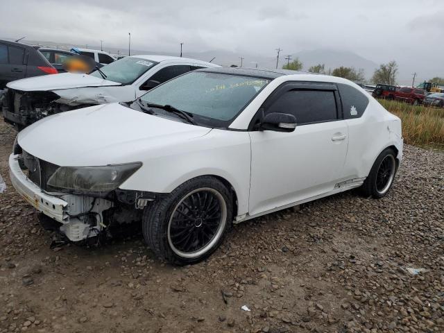 scion tc 2013 jtkjf5c70d3046434