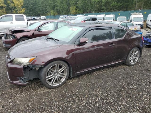 toyota scion tc 2011 jtkjf5c71b3002391