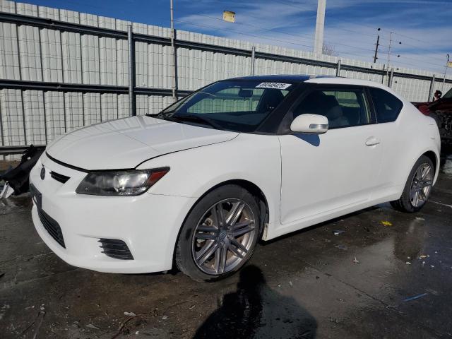 toyota scion tc 2013 jtkjf5c71d3047317