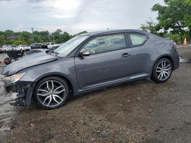 toyota scion tc 2019 jtkjf5c75gj015583