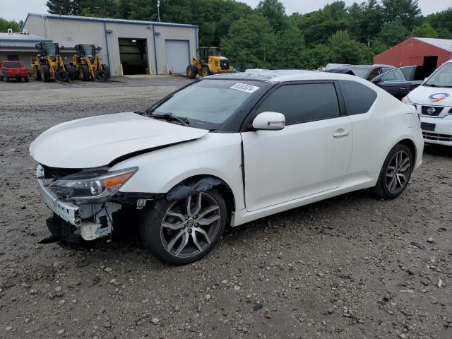 toyota scion tc 2016 jtkjf5c75gj020623