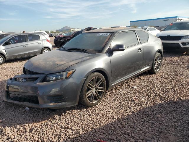 toyota scion tc 2013 jtkjf5c76d3064694