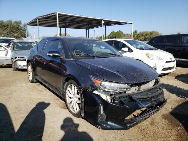 toyota scion tc 2016 jtkjf5c77gj016265