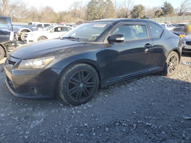 toyota scion tc 2013 jtkjf5c78d3061831