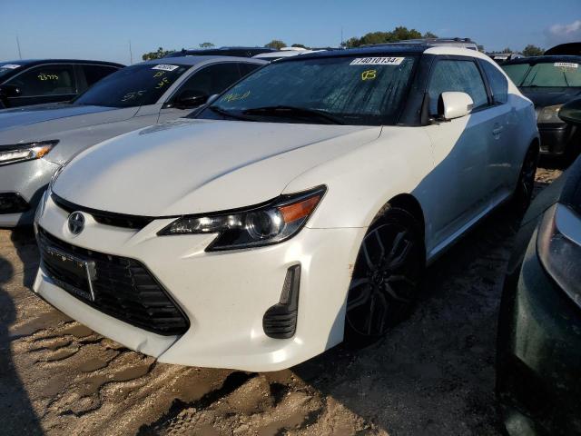 toyota scion tc 2016 jtkjf5c78gj015206