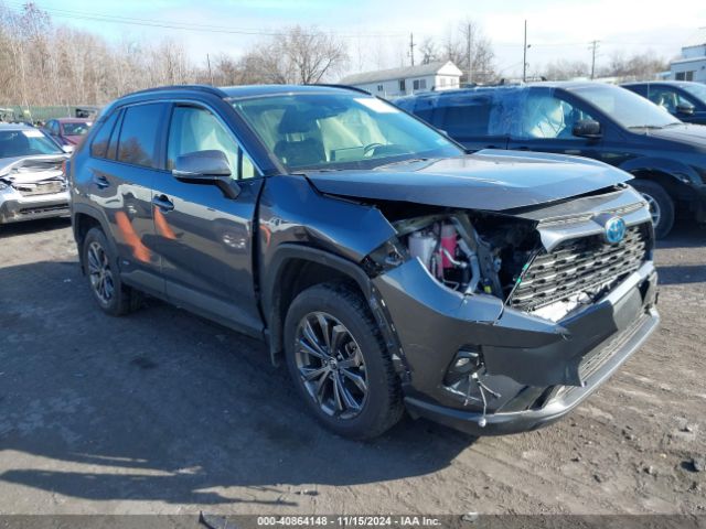 toyota rav4 2023 jtmb6rfv2pd113384