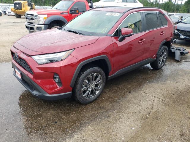 toyota rav4 xle p 2023 jtmb6rfv5pd095186