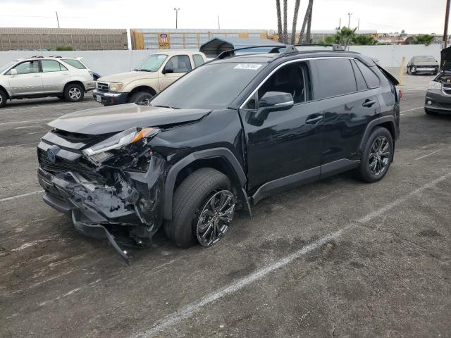 toyota rav4 xle p 2024 jtmb6rfv5rd127993