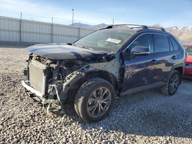 toyota rav4 xle p 2024 jtmb6rfv5rj044775