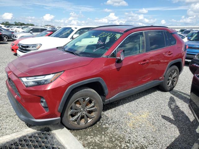 toyota rav4 xle p 2022 jtmb6rfv6nd051873