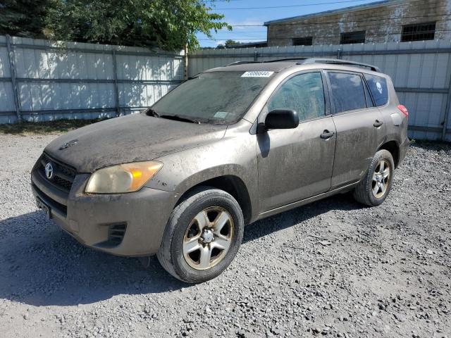 toyota rav4 2009 jtmbf33vx95012575