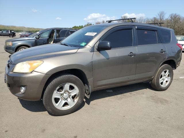 toyota rav4 2010 jtmbf4dv0a5020242