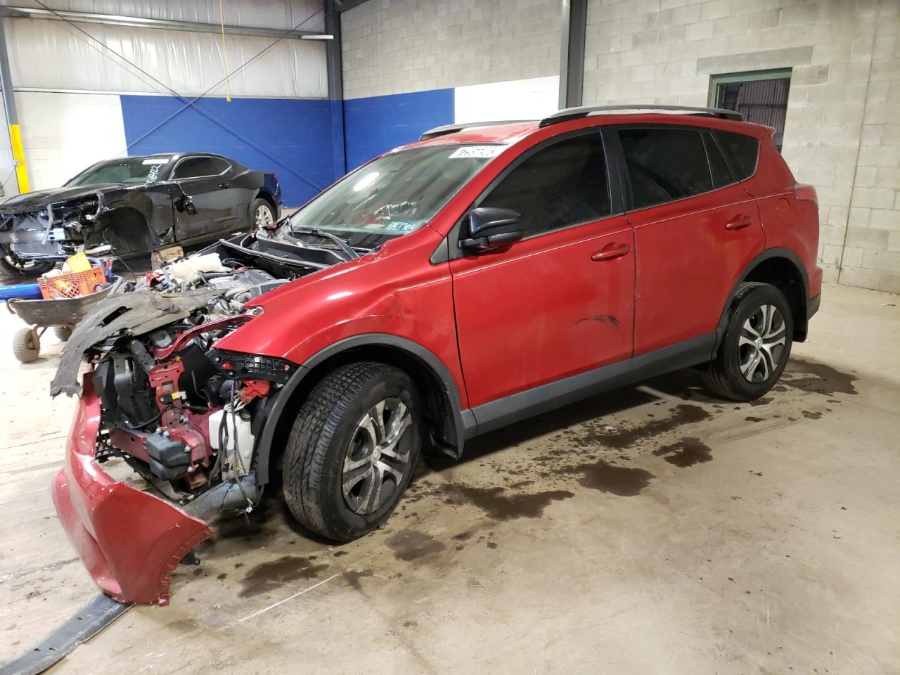 toyota rav 4 2017 jtmbfrev3hj134958