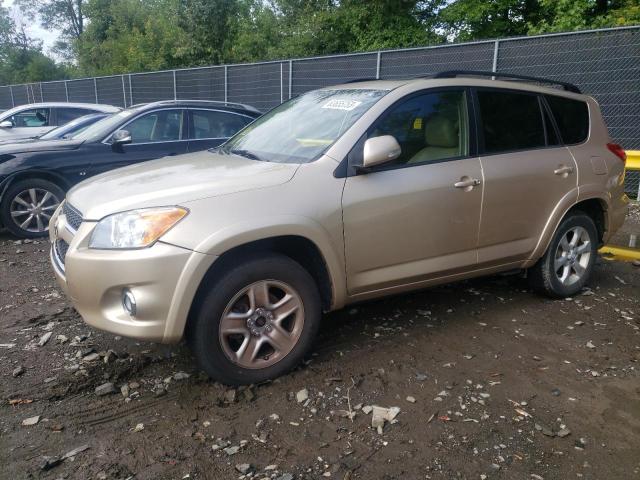 toyota rav4 limit 2010 jtmdk4dvxad016046