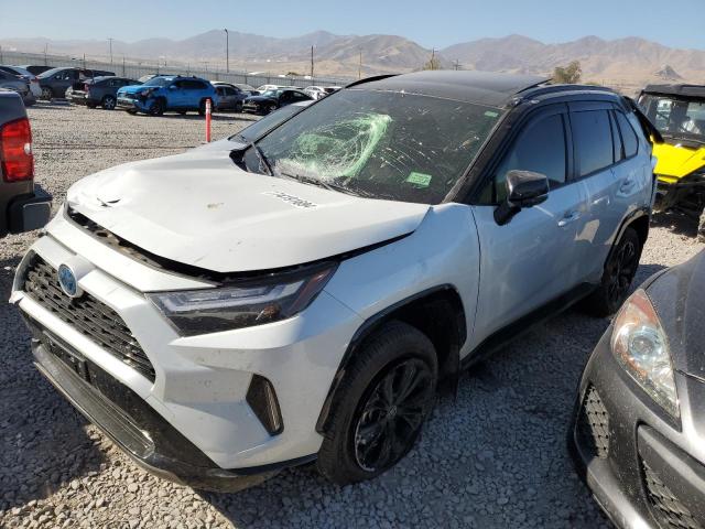 toyota rav4 xse 2024 jtme6rfv1rd559381