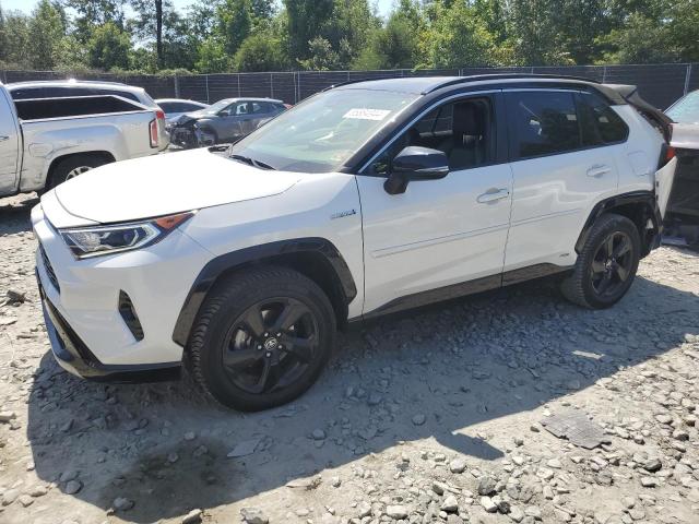 toyota rav4 xse 2019 jtmewrfv3kj027508