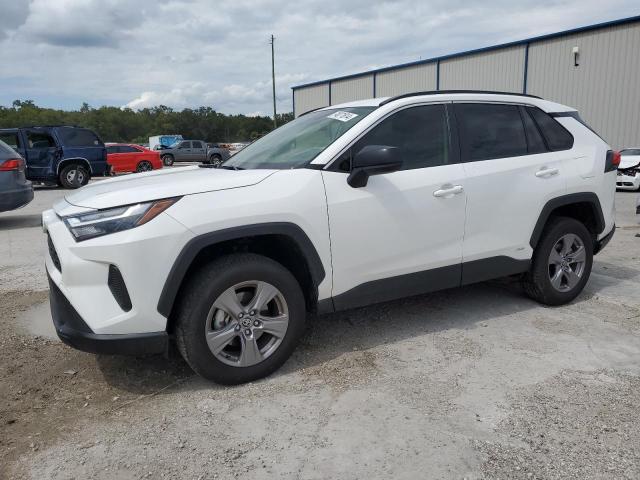 toyota rav4 le 2024 jtmlwrfv2rd246668