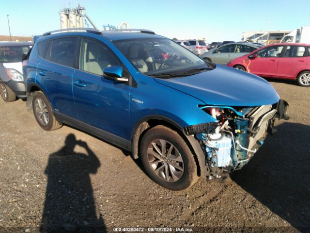 toyota rav4 2016 jtmrjrev4gd022115