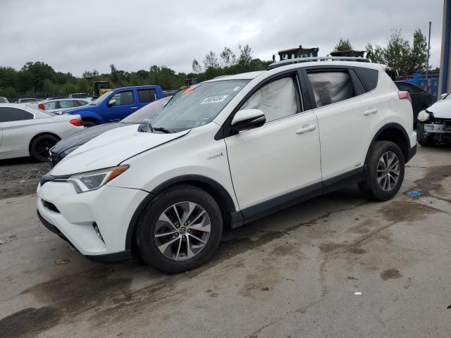 toyota rav4 hv le 2017 jtmrjrev4hd066987