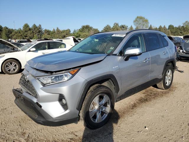 toyota rav4 xle 2019 jtmrwrfv8kd006993