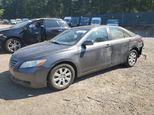 toyota camry hybr 2009 jtnbb46k393049381