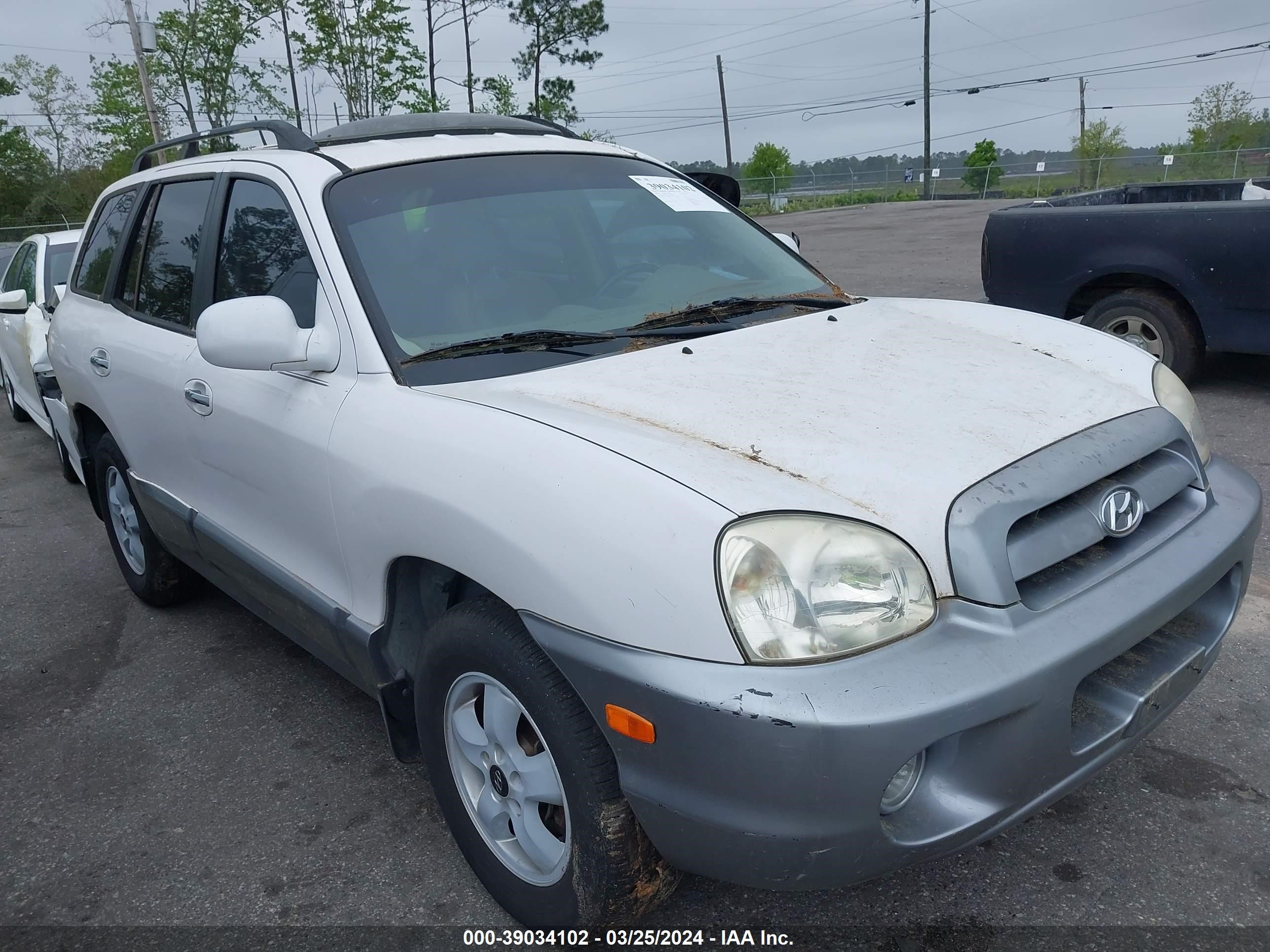 hyundai santa fe 2006 km8fc13ex6u040578