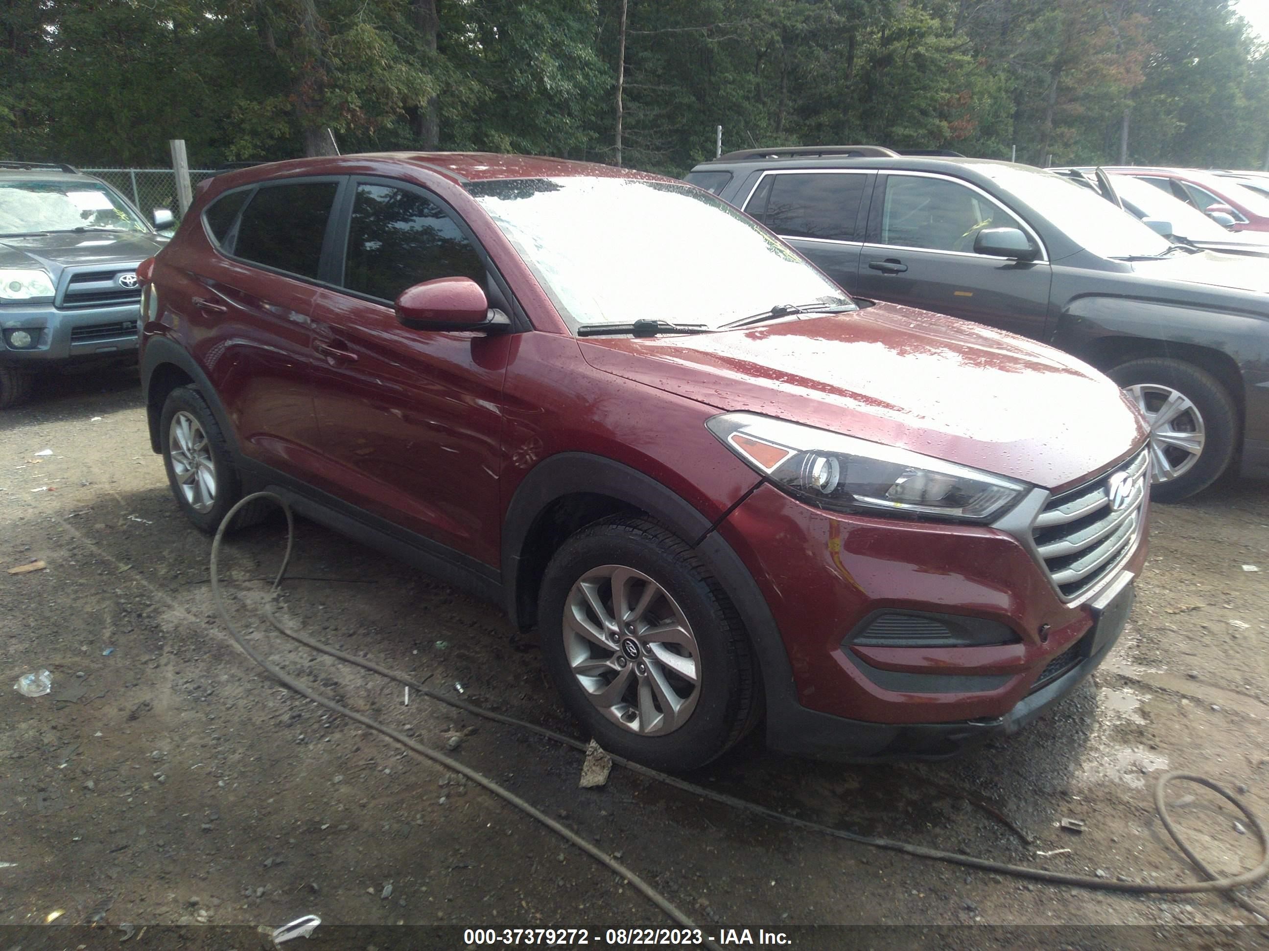 hyundai tucson 2016 km8j23a44gu029422